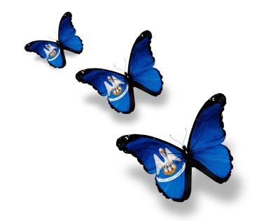 Three Louisiana flag butterflies, isolated on white clipart