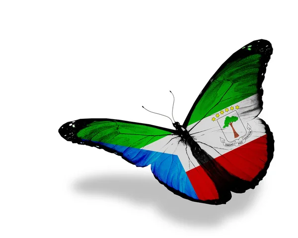stock image Equatorial Guinea flag butterfly flying, isolated on white backg