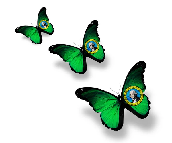 Beyaz izole üç washington bayrak kelebekler — Stok fotoğraf