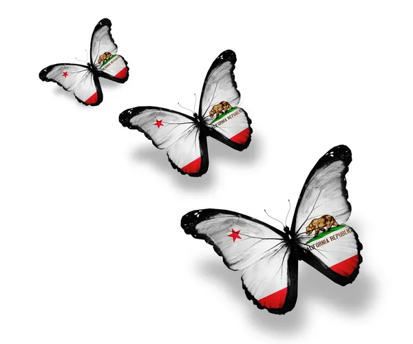 Три метеликів Прапор Каліфорнії, ізольовані на білому — стокове фото