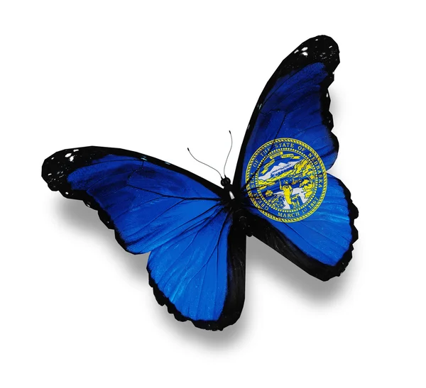 Bayrak beyaz izole nebraska kelebek — Stok fotoğraf