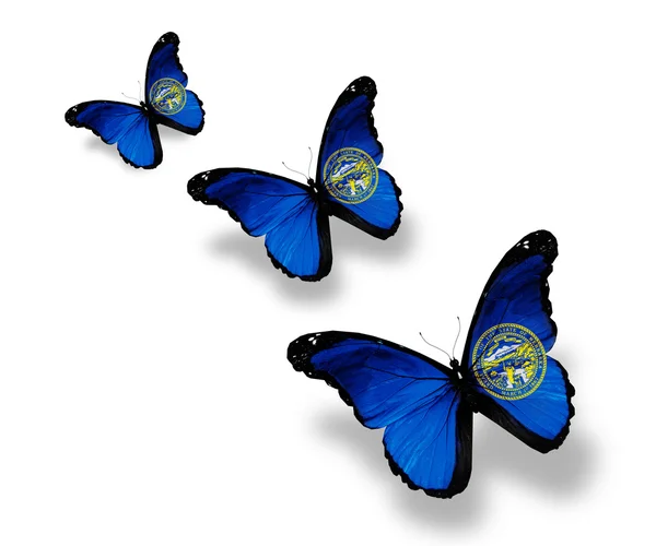 Three Nebraska flag butterflies, isolated on white — Stock Photo, Image
