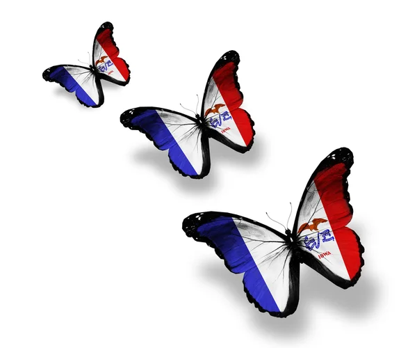 Tre farfalle bandiera Iowa, isolate su bianco — Foto Stock