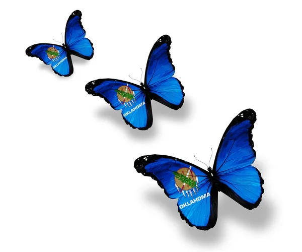 Beyaz izole üç oklahoma bayrak kelebekler — Stok fotoğraf