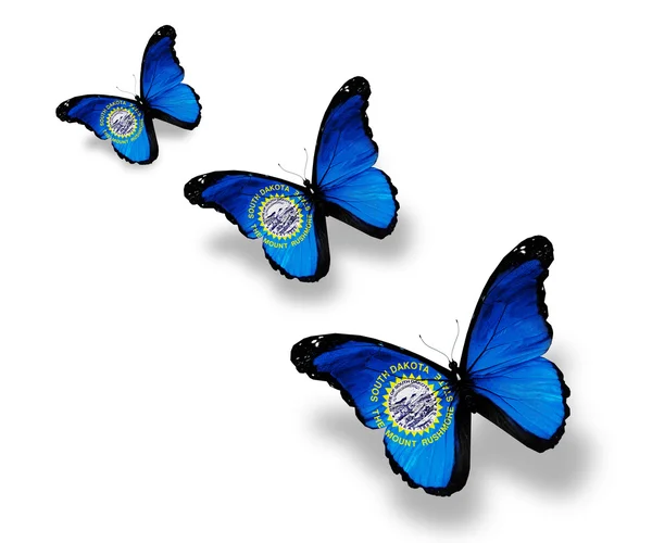 Tres mariposas bandera de Dakota del Sur, aisladas en blanco — Foto de Stock