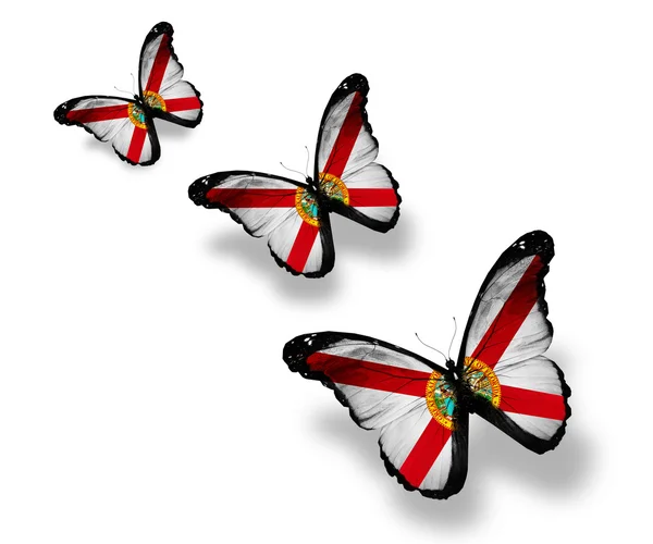 Τρεις Φλόριντα σημαία πεταλούδες, που απομονώνονται σε λευκό — Φωτογραφία Αρχείου