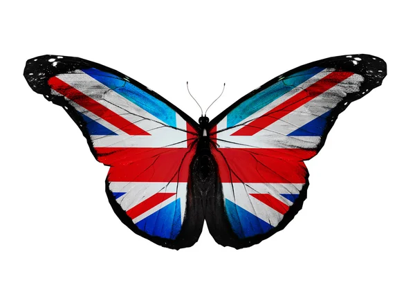 Anglická vlajka motýl létání, izolované na bílém — Stock fotografie