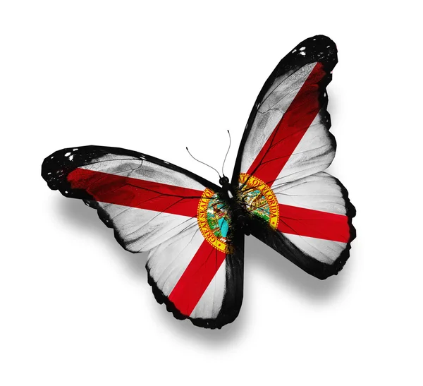 Florida bayrak kelebek, üzerinde beyaz izole — Stok fotoğraf