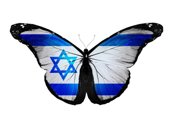 Israeli flag butterfly flying, isolated on white background — Stock Photo, Image