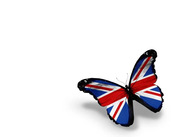 İngiliz bayrağı kelebek, beyaz zemin üzerine izole — Stok fotoğraf