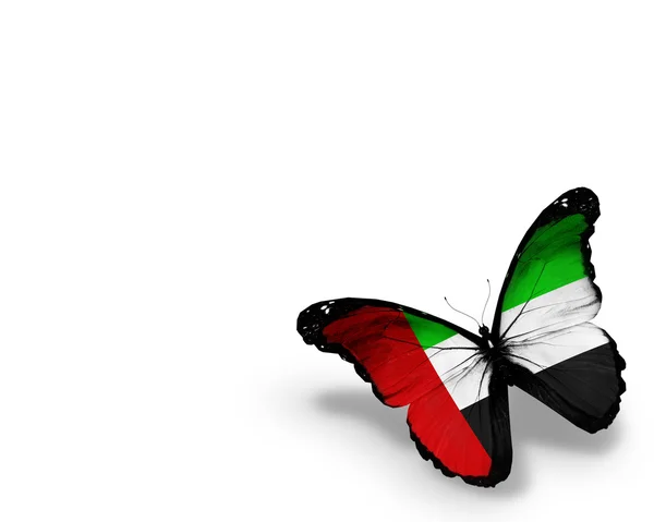 UAE flag butterfly, isolated on white background — Stock Photo, Image