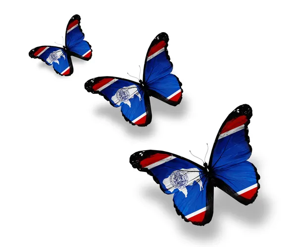 Drie wyoming vlag vlinders, geïsoleerd op wit — Stockfoto