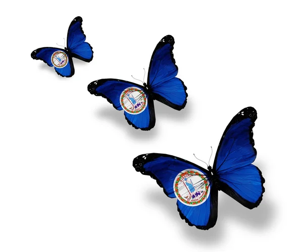 3 버지니아 플래그 나비, 흰색 절연 — 스톡 사진
