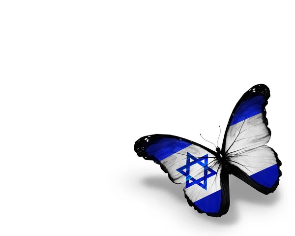 Bandeira de Israel borboleta, isolada sobre fundo branco — Fotografia de Stock