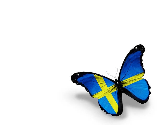 Schwedische Flagge Schmetterling, isoliert auf weißem Hintergrund — Stockfoto
