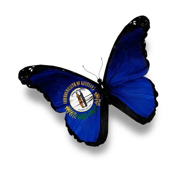Flagge des kentucky butterfly, isoliert auf weiß — Stockfoto