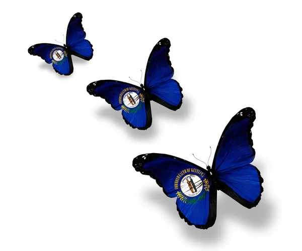 Три метеликів прапор Кентуккі, ізольовані на білому — стокове фото