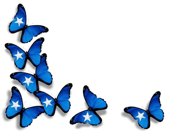 Somalian flag butterflies, isolated on white background — Stock Photo, Image
