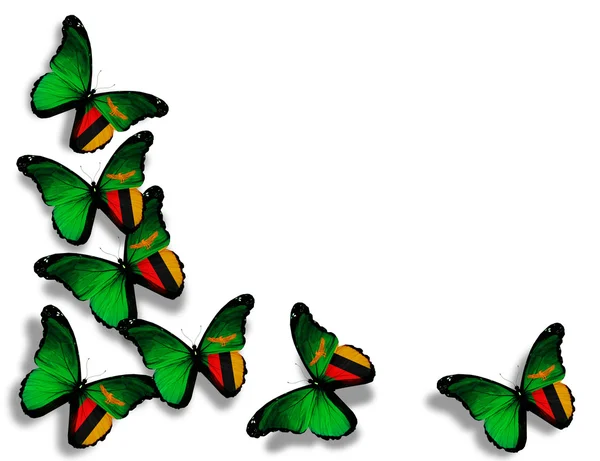 Sambia Flagge Schmetterlinge, isoliert auf weißem Hintergrund — Stockfoto