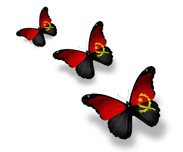 Drie Republiek angola vlag vlinders, geïsoleerd op wit — Stockfoto