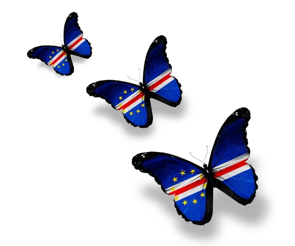 stock image Three Cape Verde flag butterflies, isolated on white