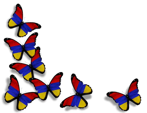 Armeense vlag vlinders, geïsoleerd op witte achtergrond — Stockfoto