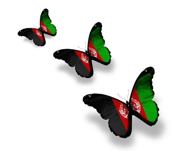 Trois papillons du drapeau afghan, isolés sur du blanc — Photo