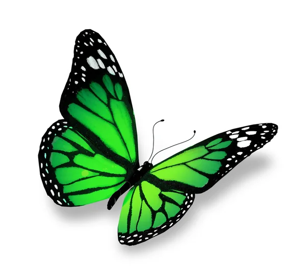 Πράσινη πεταλούδα, που απομονώνονται σε λευκό φόντο — Φωτογραφία Αρχείου