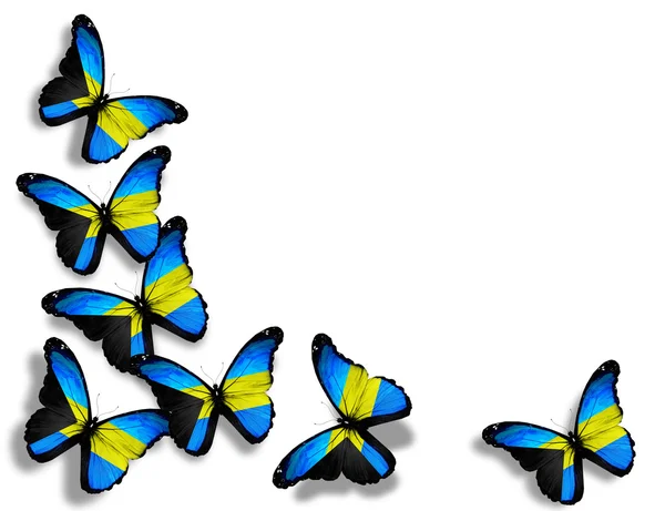 Schmetterlinge der bahamischen Flagge, isoliert auf weißem Hintergrund — Stockfoto
