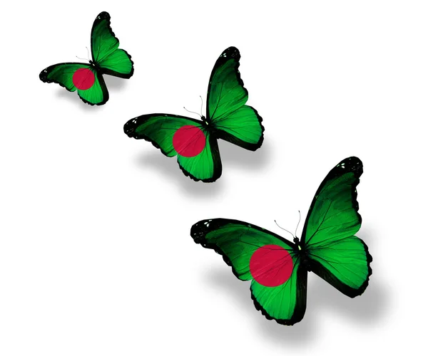Drie bangladesh vlag vlinders, geïsoleerd op wit — Stockfoto