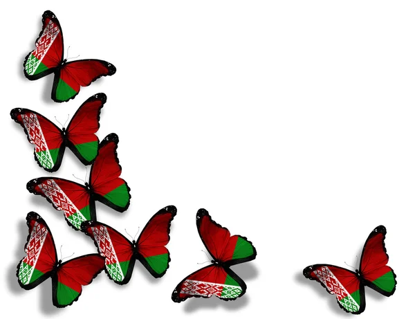 Papillons drapeau Biélorussie, isolés sur fond blanc — Photo