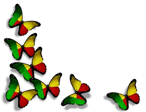 Benin vlajky motýly, izolovaných na bílém pozadí — Stock fotografie