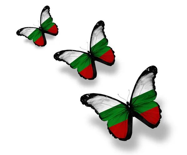 Three Bulgarian flag butterflies, isolated on white — Stock Photo, Image