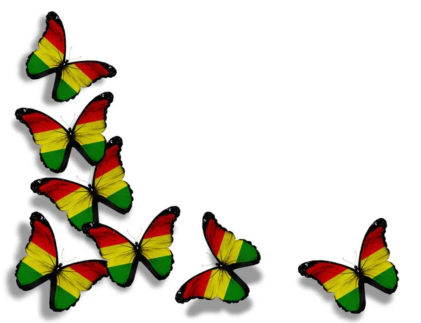 Bolivijská vlajka motýly, izolovaných na bílém pozadí — Stock fotografie
