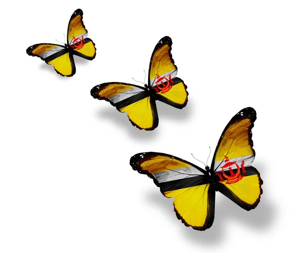 Tres mariposas bandera de Brunei, aisladas en blanco —  Fotos de Stock