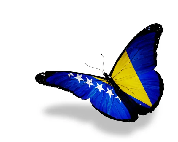ボスニア ・ ヘルツェゴビナ フラグ蝶を飛んで、白で隔離されます。 — ストック写真