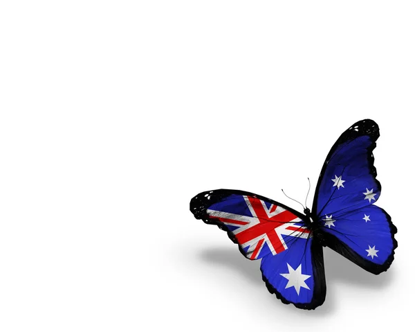 Mariposa bandera australiana, aislada sobre fondo blanco — Foto de Stock