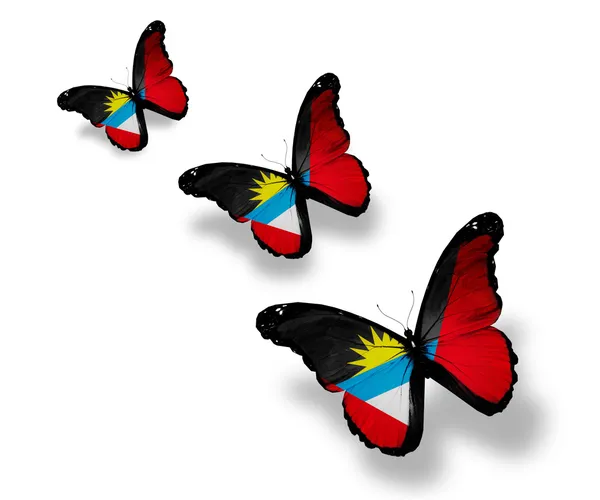 三个安提瓜和巴布达国旗蝴蝶，孤立在白色 — 图库照片
