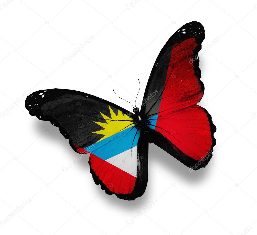 Antigua and Barbuda flag butterfly, isolated on white
