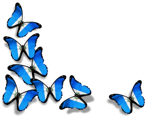 危地马拉国旗蝴蝶，在白色背景上孤立 — 图库照片