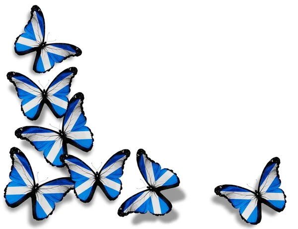 Farfalle bandiera scozzese, isolate su sfondo bianco — Foto Stock
