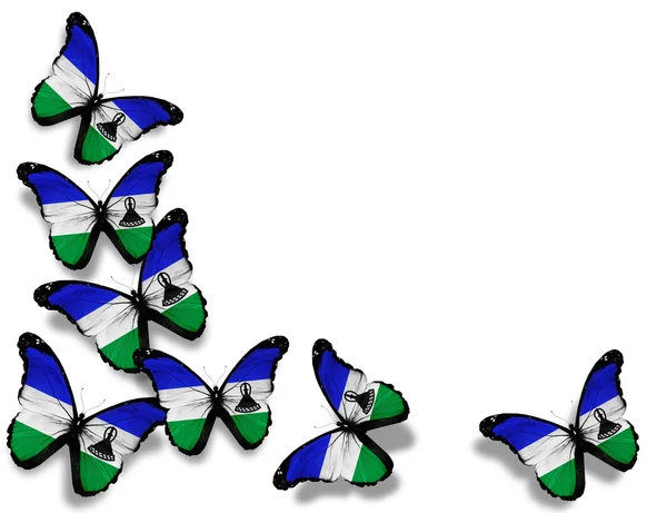 Koninkrijk lesotho vlag vlinders, geïsoleerd op een witte pagina — Stockfoto
