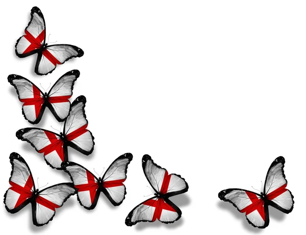 英国国旗的蝴蝶，在白色背景上孤立 — 图库照片