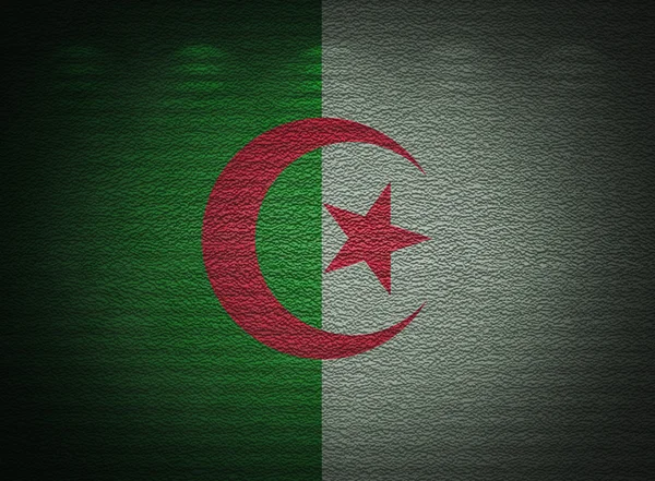 Cezayir bayrağı duvar, soyut grunge arka plan — Stok fotoğraf