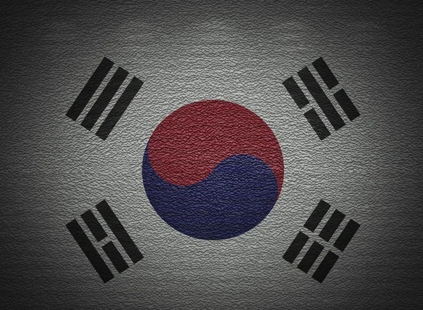 韩国国旗墙、 抽象 grunge 背景 — 图库照片