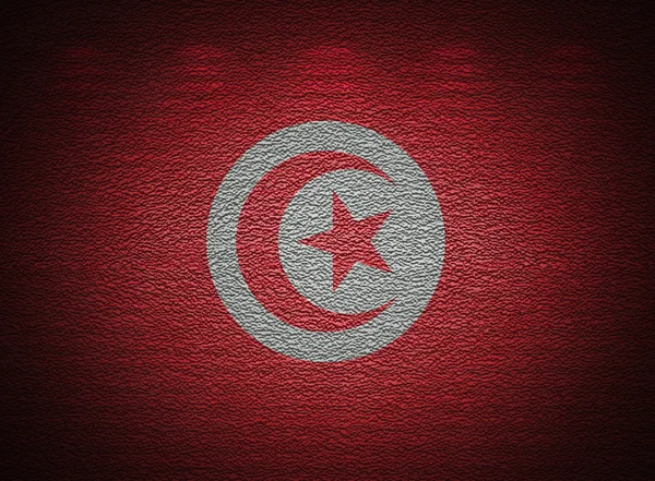 Tunisian flag wall, abstract grunge background — Stock Photo, Image