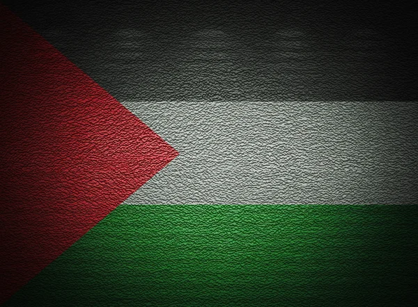 Palestinian flag wall, abstract grunge background — Stock Photo, Image