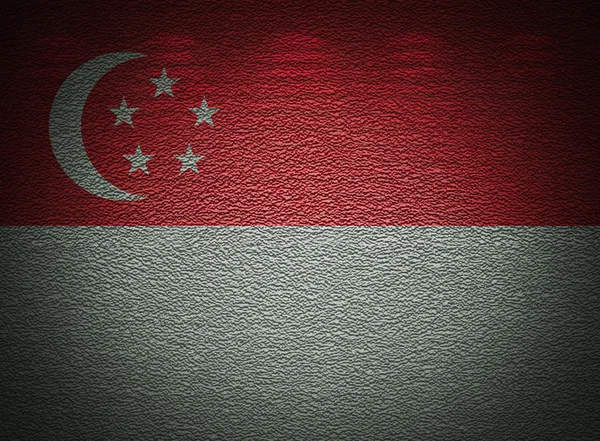 Singaporean parete bandiera, astratto grunge sfondo — Foto Stock