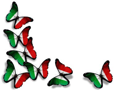 Mexico flag butterflies, isolated on white background clipart