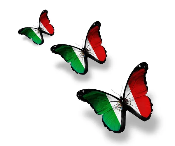Tre farfalle bandiera messicana, isolate su bianco — Foto Stock